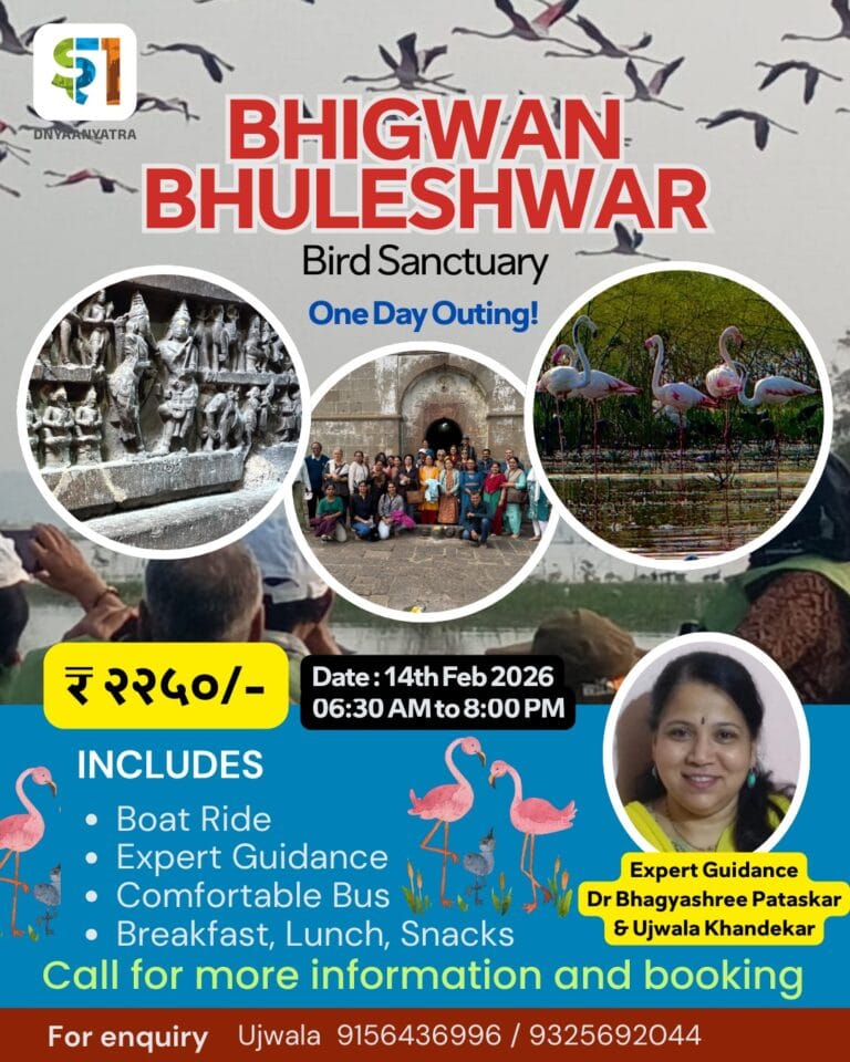 whatsapp-image-2026-01-14-at-11-43-28-pm