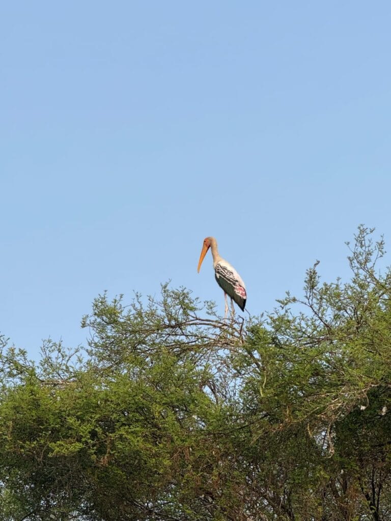 whatsapp-image-2026-01-14-at-2-31-09-pm-1