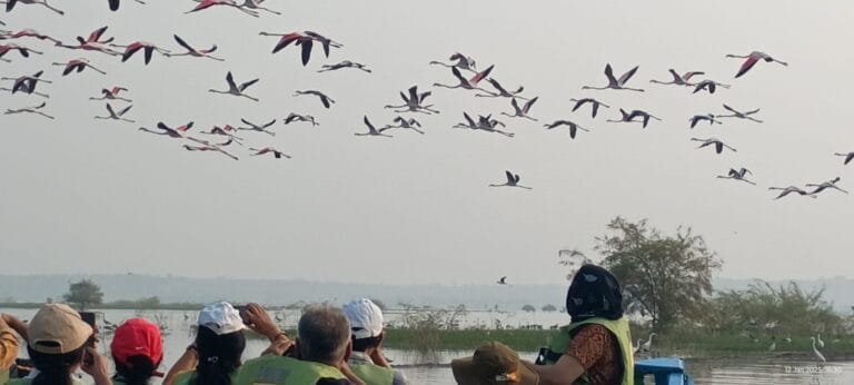 whatsapp-image-2026-01-14-at-2-31-09-pm