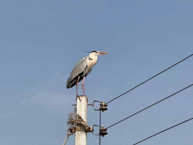 whatsapp-image-2026-01-14-at-2-31-10-pm